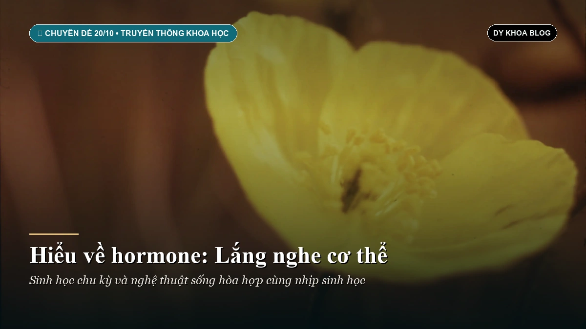 Hiểu về hormone: Lắng nghe những ngày cơ thể ‘ẩm ương’ thay vì tự dằn vặt