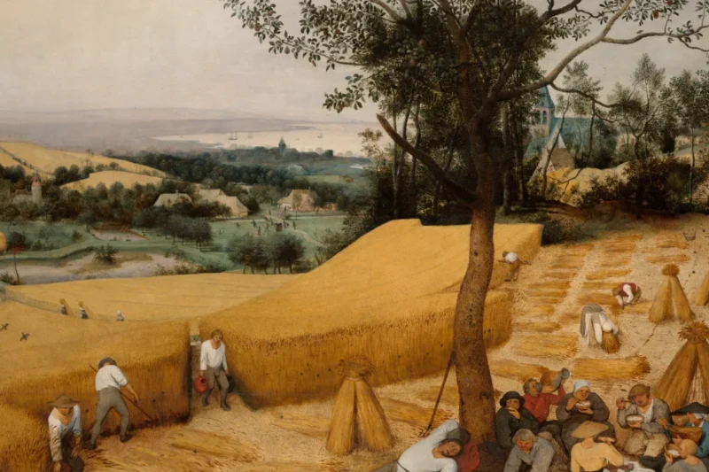Tranh “Những người gặt lúa” (Pieter Bruegel, 1565), nam nữ cùng lao động trên cánh đồng, minh họa bài về xếp hạng bình đẳng giới của Việt Nam