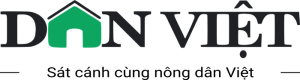 Dan Viet